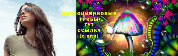 кокс Чегем