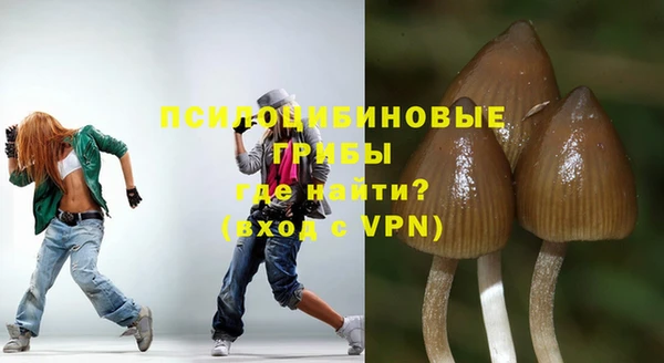 дурь Заволжск