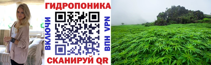Конопля семена Купить Тавда